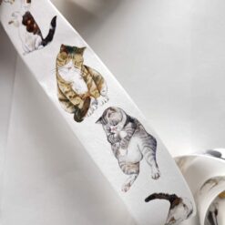 Ding Ding Matte PET Tape - A20