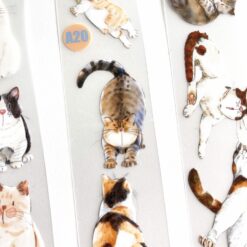 Ding Ding Matte PET Tape - A20