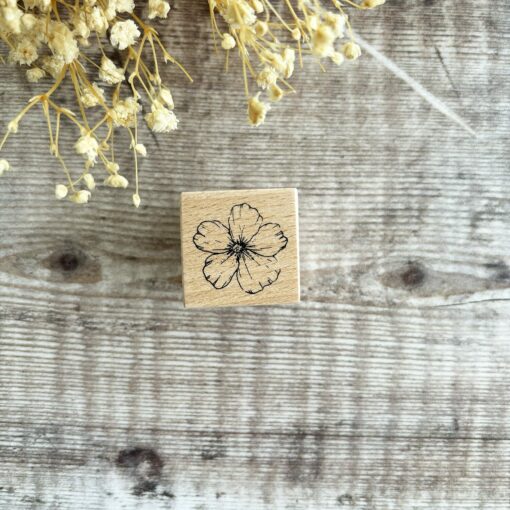 Zoey Studio Rubber Stamps - Flowers
